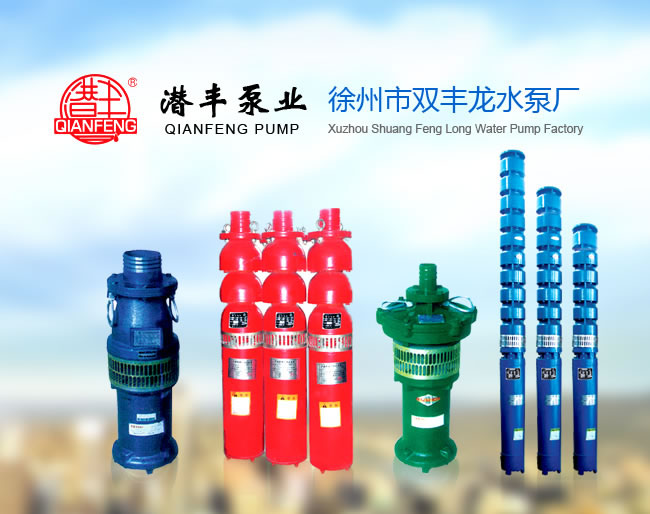 徐州市双丰龙水泵厂专业供应喷泉水泵 潜水泵